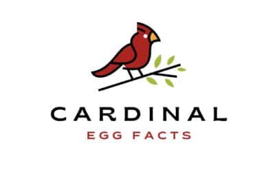 TOP Cardinal Eggs Facts For Bird Lovers & Enthusiasts